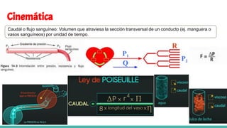 Cinemática
Caudal o flujo sanguíneo: Volumen que atraviesa la sección transversal de un conducto (ej. manguera o
vasos sanguíneos) por unidad de tiempo.
 