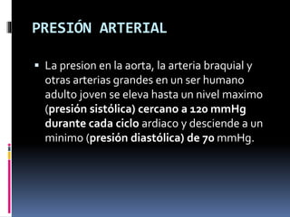 PRESIÓN ARTERIAL
 La presion en la aorta, la arteria braquial y
otras arterias grandes en un ser humano
adulto joven se eleva hasta un nivel maximo
(presión sistólica) cercano a 120 mmHg
durante cada ciclo ardiaco y desciende a un
minimo (presión diastólica) de 70 mmHg.
 
