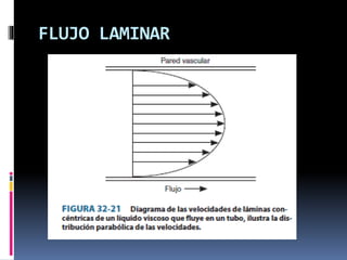 FLUJO LAMINAR
 