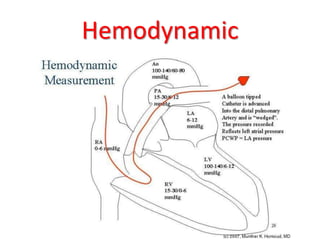 Hemodynamic | PPTX