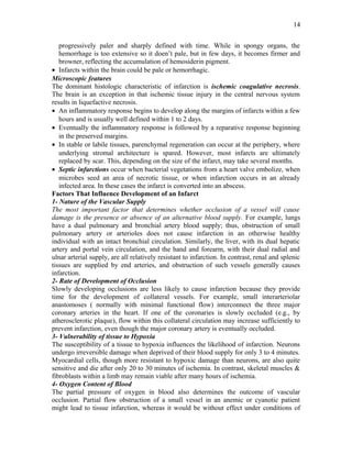 progressively paler and sharply defined with time. While in spongy organs, the
hemorrhage is too extensive so it doen’t pale, but in few days, it becomes firmer and
browner, reflecting the accumulation of hemosiderin pigment.
• Infarcts within the brain could be pale or hemorrhagic.
Microscopic features
The dominant histologic characteristic of infarction is ischemic coagulative necrosis.
The brain is an exception in that ischemic tissue injury in the central nervous system
results in liquefactive necrosis.
• An inflammatory response begins to develop along the margins of infarcts within a few
hours and is usually well defined within 1 to 2 days.
• Eventually the inflammatory response is followed by a reparative response beginning
in the preserved margins.
• In stable or labile tissues, parenchymal regeneration can occur at the periphery, where
underlying stromal architecture is spared. However, most infarcts are ultimately
replaced by scar. This, depending on the size of the infarct, may take several months.
• Septic infarctions occur when bacterial vegetations from a heart valve embolize, when
microbes seed an area of necrotic tissue, or when infarction occurs in an already
infected area. In these cases the infarct is converted into an abscess.
Factors That Influence Development of an Infarct
1- Nature of the Vascular Supply
The most important factor that determines whether occlusion of a vessel will cause
damage is the presence or absence of an alternative blood supply. For example, lungs
have a dual pulmonary and bronchial artery blood supply; thus, obstruction of small
pulmonary artery or arterioles does not cause infarction in an otherwise healthy
individual with an intact bronchial circulation. Similarly, the liver, with its dual hepatic
artery and portal vein circulation, and the hand and forearm, with their dual radial and
ulnar arterial supply, are all relatively resistant to infarction. In contrast, renal and splenic
tissues are supplied by end arteries, and obstruction of such vessels generally causes
infarction.
2- Rate of Development of Occlusion
Slowly developing occlusions are less likely to cause infarction because they provide
time for the development of collateral vessels. For example, small interarteriolar
anastomoses ( normally with minimal functional flow) interconnect the three major
coronary arteries in the heart. If one of the coronaries is slowly occluded (e.g., by
atherosclerotic plaque), flow within this collateral circulation may increase sufficiently to
prevent infarction, even though the major coronary artery is eventually occluded.
3- Vulnerability of tissue to Hypoxia
The susceptibility of a tissue to hypoxia influences the likelihood of infarction. Neurons
undergo irreversible damage when deprived of their blood supply for only 3 to 4 minutes.
Myocardial cells, though more resistant to hypoxic damage than neurons, are also quite
sensitive and die after only 20 to 30 minutes of ischemia. In contrast, skeletal muscles &
fibroblasts within a limb may remain viable after many hours of ischemia.
4- Oxygen Content of Blood
The partial pressure of oxygen in blood also determines the outcome of vascular
occlusion. Partial flow obstruction of a small vessel in an anemic or cyanotic patient
might lead to tissue infarction, whereas it would be without effect under conditions of
14
 