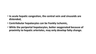 • In acute hepatic congestion, the central vein and sinusoids are
distended,
• Centrilobular hepatocytes can be frankly ischemic,
• While the periportal hepatocytes, better oxygenated because of
proximity to hepatic arterioles, may only develop fatty change.
 