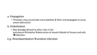 a. Propagation
• Thrombus may accumulate more platelets & fibrin and propagate to cause
vessel obstruction
b. Embolization
• May dislodge &travel to other sites in the
vasculatureEmbolusobstruction of vesselsdeath of tissues and cells
Infarction
E.g- thromboembolismcerebral infarction
 