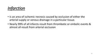 66
Infarction
• Is an area of ischemic necrosis caused by occlusion of either the
arterial supply or venous drainage in a particular tissue.
• Nearly 99% of all infarcts result from thrombotic or embolic events &
almost all result from arterial occlusion
 