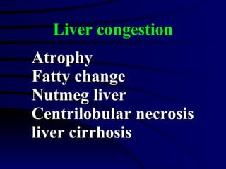 Liver congestion Atrophy Fatty change Nutmeg liver Centrilobular necrosis liver cirrhosis 