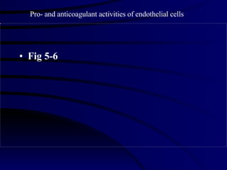 Fig 5-6 Pro- and anticoagulant activities of endothelial cells 