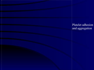 Platelet adhesion and aggregation 