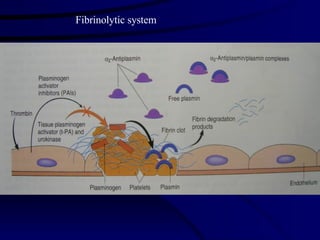 Fibrinolytic system 