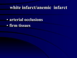white infarct/anemic  infarct arterial occlusions firm tissues 