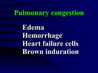 Pulmonary congestion Edema Hemorrhage Heart failure cells Brown induration 