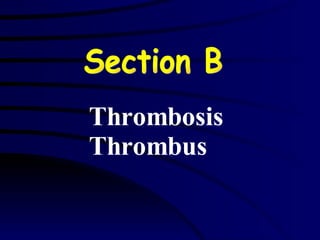 Thrombosis Thrombus  Section B 