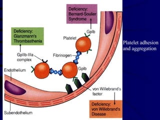 Platelet adhesion and aggregation 