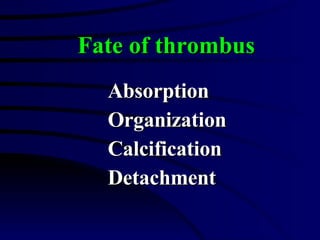 Absorption Organization Calcification Detachment Fate of thrombus 