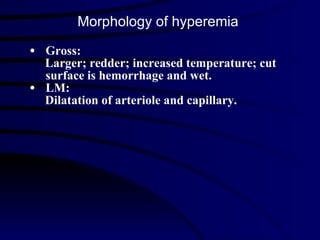 Gross: Larger; redder; increased temperature; cut surface is hemorrhage and wet. LM:  Dilatation of arteriole and capillary. Morphology of hyperemia 