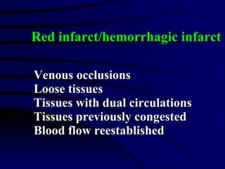 Venous occlusions Loose tissues Tissues with dual circulations Tissues previously congested Blood flow reestablished Red infarct/hemorrhagic infarct 