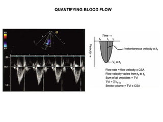 QUANTIFYING BLOOD FLOW
 
