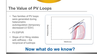The Value of PV Loops
• Two families of PV loops
were generated during
heterometric
autoregulation (temporary
decreased LV EDV)
• Fit ESPVR
• Slope of LV filling relates
with stiffness – the
reciprocal of lusitrope
Now what do we know?
Pressure(mmHg)
Volume (uL)
 