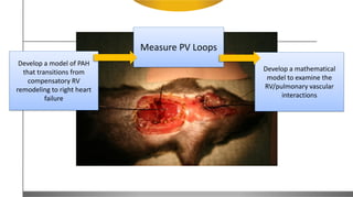 Develop a model of PAH
that transitions from
compensatory RV
remodeling to right heart
failure
Measure PV Loops
Develop a mathematical
model to examine the
RV/pulmonary vascular
interactions
 