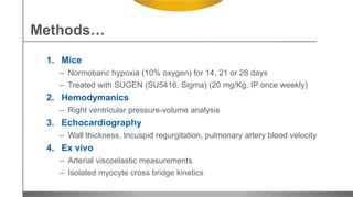 Methods…
1. Mice
– Normobaric hypoxia (10% oxygen) for 14, 21 or 28 days
– Treated with SUGEN (SU5416, Sigma) (20 mg/Kg, IP once weekly)
2. Hemodymanics
– Right ventricular pressure-volume analysis
3. Echocardiography
– Wall thickness, tricuspid regurgitation, pulmonary artery blood velocity
4. Ex vivo
– Arterial viscoelastic measurements
– Isolated myocyte cross bridge kinetics
 