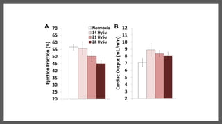 20
25
30
35
40
45
50
55
60
65
70
21% O2 8% O2
EjectionFraction(%)
Normoxia
14 HySu
21 HySu
28 HySu
2
3
4
5
6
7
8
9
10
11
12
21% O2 8% O2
CardiacOutput(mL/min)
Normoxia
14 HySu
21 HySu
28 HySu
A B
 