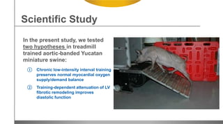 In the present study, we tested
two hypotheses in treadmill
trained aortic-banded Yucatan
miniature swine:
① Chronic low-intensity interval training
preserves normal myocardial oxygen
supply/demand balance
② Training-dependent attenuation of LV
fibrotic remodeling improves
diastolic function
Scientific Study
 