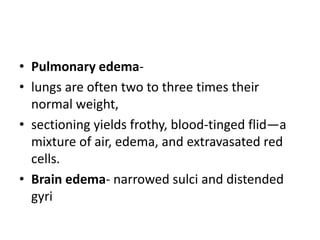 • Pulmonary edema-
• lungs are often two to three times their
normal weight,
• sectioning yields frothy, blood-tinged flid—a
mixture of air, edema, and extravasated red
cells.
• Brain edema- narrowed sulci and distended
gyri
 