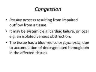 Congestion
• Passive process resulting from impaired
outflow from a tissue.
• It may be systemic e.g. cardiac failure, or local
e.g. an isolated venous obstruction.
• The tissue has a blue-red color (cyanosis), due
to accumulation of deoxygenated hemoglobin
in the affected tissues
 