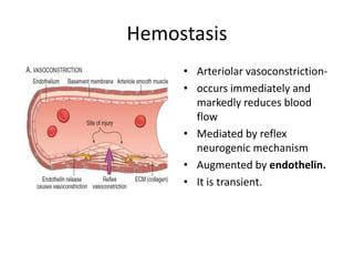 Hemostasis
• Arteriolar vasoconstriction-
• occurs immediately and
markedly reduces blood
flow
• Mediated by reflex
neurogenic mechanism
• Augmented by endothelin.
• It is transient.
 
