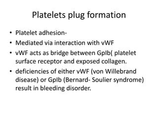 Platelets plug formation
• Platelet adhesion-
• Mediated via interaction with vWF
• vWF acts as bridge between GpIb( platelet
surface receptor and exposed collagen.
• deficiencies of either vWF (von Willebrand
disease) or GpIb (Bernard- Soulier syndrome)
result in bleeding disorder.
 