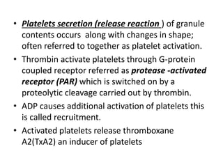 • Platelets secretion (release reaction ) of granule
contents occurs along with changes in shape;
often referred to together as platelet activation.
• Thrombin activate platelets through G-protein
coupled receptor referred as protease -activated
receptor (PAR) which is switched on by a
proteolytic cleavage carried out by thrombin.
• ADP causes additional activation of platelets this
is called recruitment.
• Activated platelets release thromboxane
A2(TxA2) an inducer of platelets
 