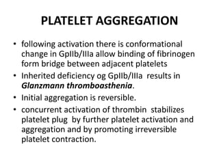PLATELET AGGREGATION
• following activation there is conformational
change in GpIIb/IIIa allow binding of fibrinogen
form bridge between adjacent platelets
• Inherited deficiency og GpIIb/IIIa results in
Glanzmann thromboasthenia.
• Initial aggregation is reversible.
• concurrent activation of thrombin stabilizes
platelet plug by further platelet activation and
aggregation and by promoting irreversible
platelet contraction.
 
