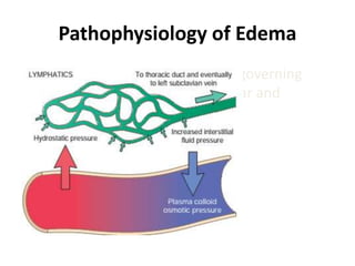 Pathophysiology of Edema
•  Two opposing major factors governing
fluid movement between vascular and
interstitial space:
 