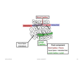 10/13/2018 SUNIL KUMAR P 13
 