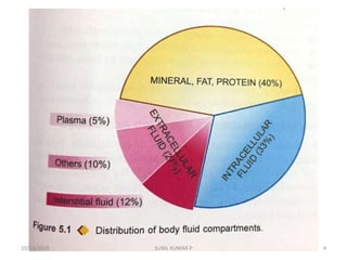 10/13/2018 4SUNIL KUMAR P
 