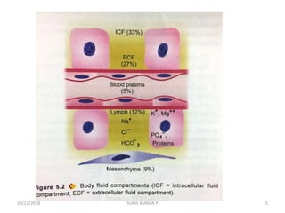 10/13/2018 5SUNIL KUMAR P
 