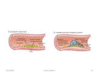 10/13/2018 61SUNIL KUMAR P
 