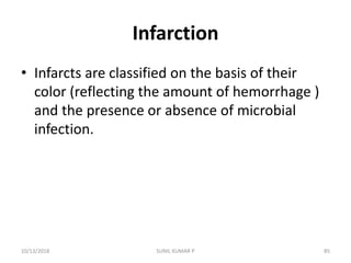 Infarction
• Infarcts are classified on the basis of their
color (reflecting the amount of hemorrhage )
and the presence or absence of microbial
infection.
10/13/2018 85SUNIL KUMAR P
 