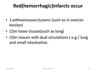 Red(hemorrhagic)infarcts occur
• 1.withvenousocclusions (such as in ovarian
torsion)
• (2)in loose tissues(such as lung)
• (3)In tissues with dual circulations ( e.g./ lung
and small intestestine.
10/13/2018 86SUNIL KUMAR P
 