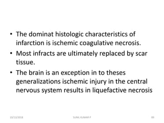 • The dominat histologic characteristics of
infarction is ischemic coagulative necrosis.
• Most infracts are ultimately replaced by scar
tissue.
• The brain is an exception in to theses
generalizations ischemic injury in the central
nervous system results in liquefactive necrosis
10/13/2018 89SUNIL KUMAR P
 