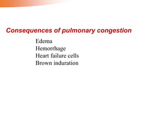 Edema
Hemorrhage
Heart failure cells
Brown induration
Consequences of pulmonary congestion
 