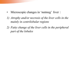 • Microscopic changes in ‘nutmeg’ liver：
1) Atrophy and/or necrosis of the liver cells in the
mainly in centrilobular regions
2) Fatty change of the liver cells in the peripheral
part of the lobules
 