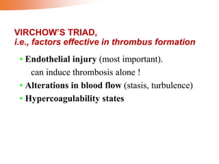 VIRCHOW’S TRIAD,
i.e., factors effective in thrombus formation
• Endothelial injury (most important).
can induce thrombosis alone !
• Alterations in blood flow (stasis, turbulence)
• Hypercoagulability states
 
