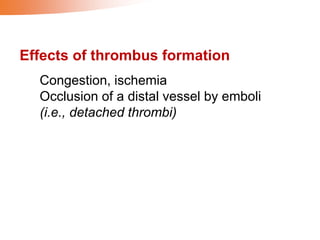 Congestion, ischemia
Occlusion of a distal vessel by emboli
(i.e., detached thrombi)
Effects of thrombus formation
 