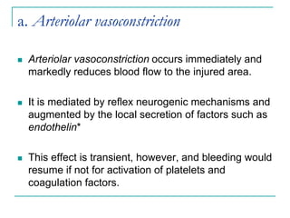 a. Arteriolar vasoconstriction
 Arteriolar vasoconstriction occurs immediately and
markedly reduces blood flow to the injured area.
 It is mediated by reflex neurogenic mechanisms and
augmented by the local secretion of factors such as
endothelin*
 This effect is transient, however, and bleeding would
resume if not for activation of platelets and
coagulation factors.
 