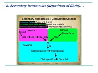 b. Secondary hemostasis (deposition of fibrin)…
 