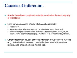 Causes of infarction.
 Arterial thrombosis or arterial embolism underlies the vast majority
of infarctions.
 Less common causes of arterial obstruction include
 vasospasm,
 expansion of an atheroma secondary to intraplaque hemorrhage, and
 extrinsic compression of a vessel by tumor, a dissecting aortic aneurysm, or
edema within a confined space (e.g., in anterior tibial compartment syndrome).
 Other uncommon causes of tissue infarction include vessel twisting
(e.g., in testicular torsion or bowel volvulus), traumatic vascular
rupture, and entrapment in a hernia sac.
 