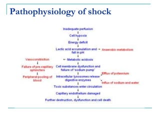 Pathophysiology of shock
 