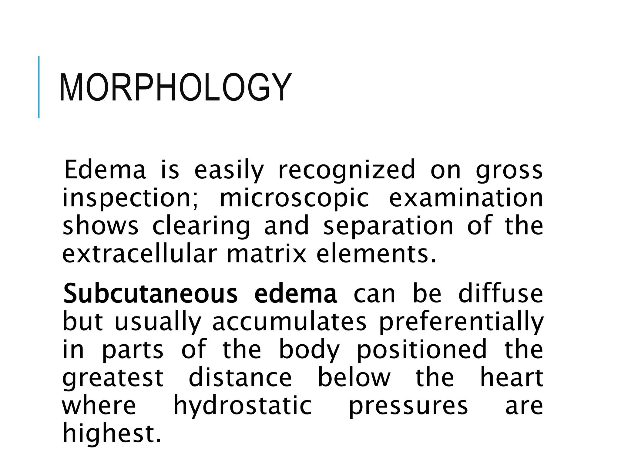 MORPHOLOGY
Edema is easily recognized on gross
inspection; microscopic examination
shows clearing and separation of the
extracellular matrix elements.
Subcutaneous edema can be diffuse
but usually accumulates preferentially
in parts of the body positioned the
greatest distance below the heart
where hydrostatic pressures are
highest.
 