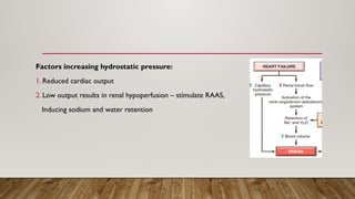 Factors increasing hydrostatic pressure:
1. Reduced cardiac output
2. Low output results in renal hypoperfusion – stimulate RAAS,
Inducing sodium and water retention
 