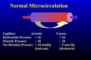 Normal Microcirculation
Capillary Arterial Venous
Hydrostatic Pressure + 36 + 16
Osmotic Pressure - 26 - 26
Net filtration Pressure + 10 mmHg - 9 mm Hg
(leak-out) (Reabsorb)
 